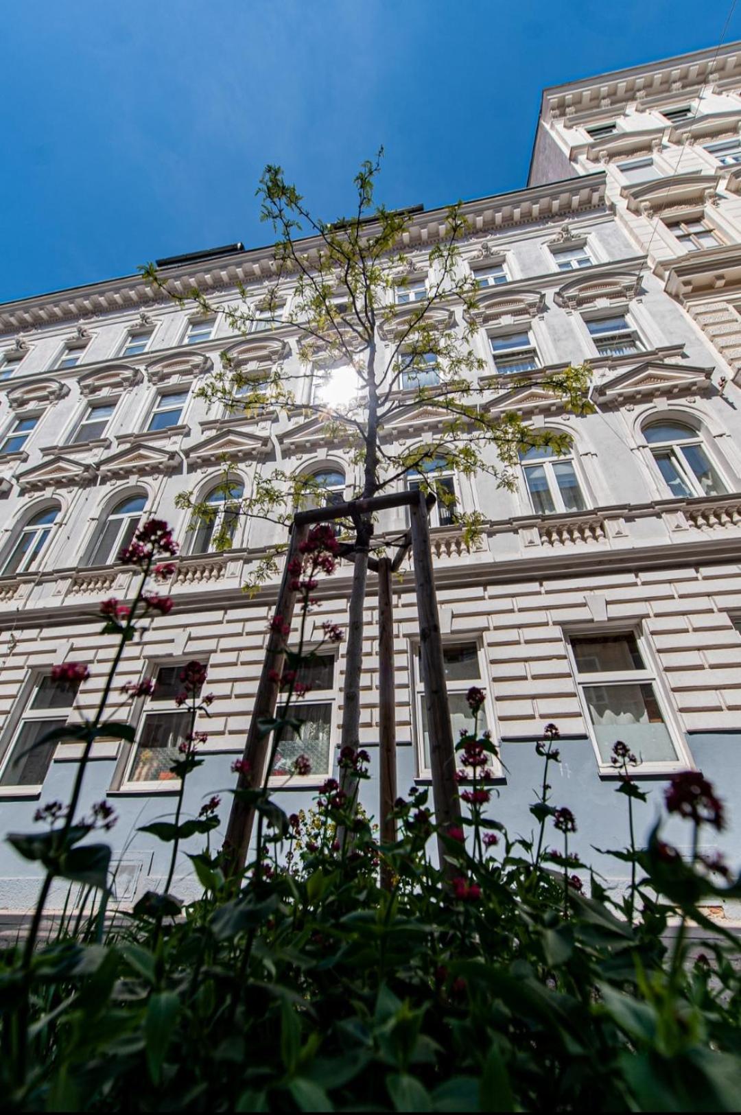 Vienna My City Apartment Garden View Viena Exterior foto